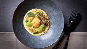 Kreativ angerichtetes Feinschmeckergericht mit Eigelb, Trüffel und Cremesauce auf dunklem Teller.
