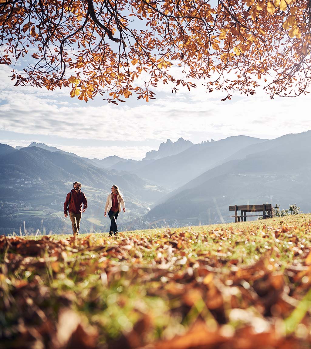Discover South Tyrol | Excursion destinations & tips around Vipiteno